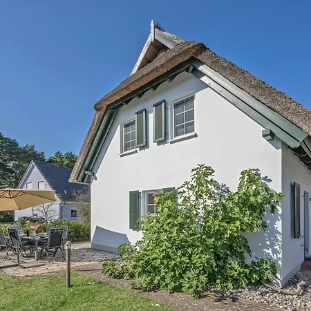Reethus Am Kuestenwald *